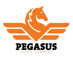 Pegasus Ultra Running Logo