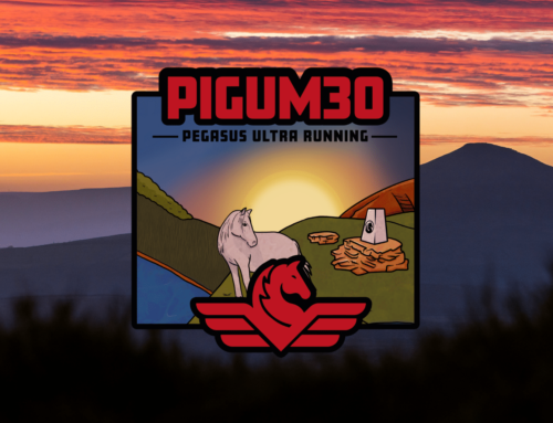 The PIGUM 2024
